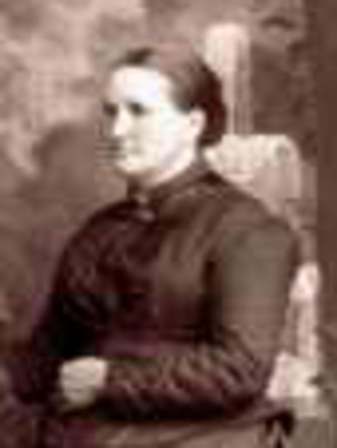 Drucilla Theobald (1842 - 1916) Profile